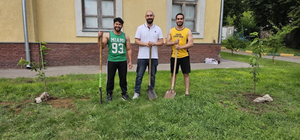 Planting Cherry Trees Planting Cherry Trees
