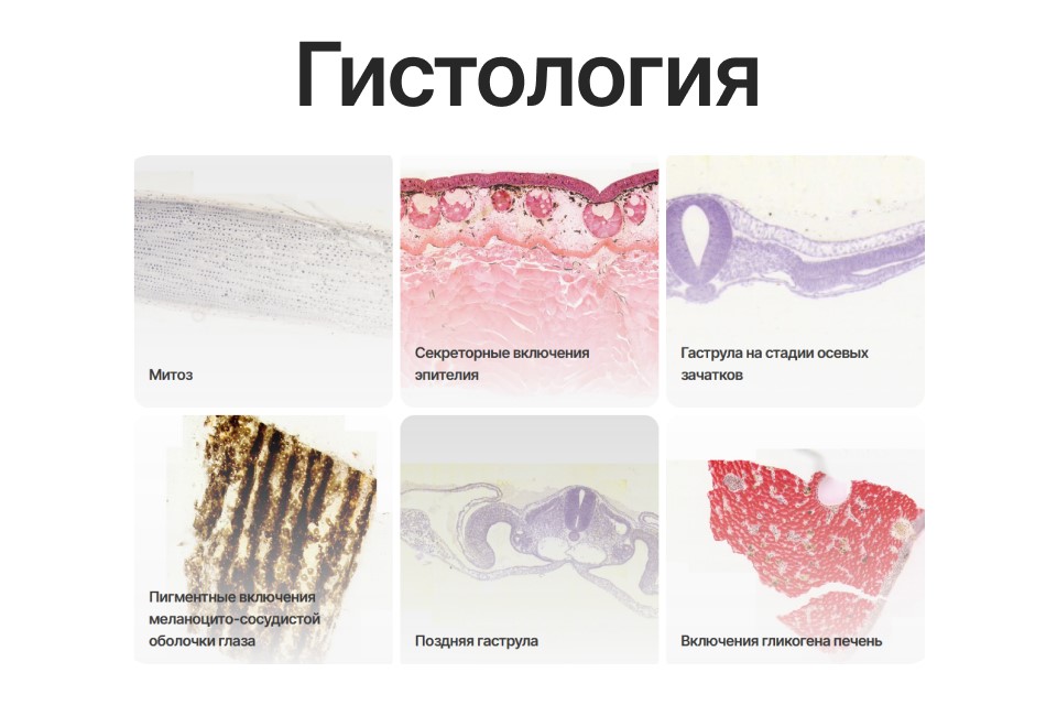 Медицинский атлас