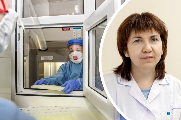«В день обрабатываем до 2500 тестов — бояться некогда»: репортаж NN.RU из лаборатории ПИМУ