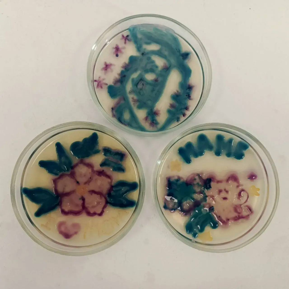 Бактерии вместо красок: будущие эпидемиологи ПИМУ поздравили мам искусством из чашек Петри