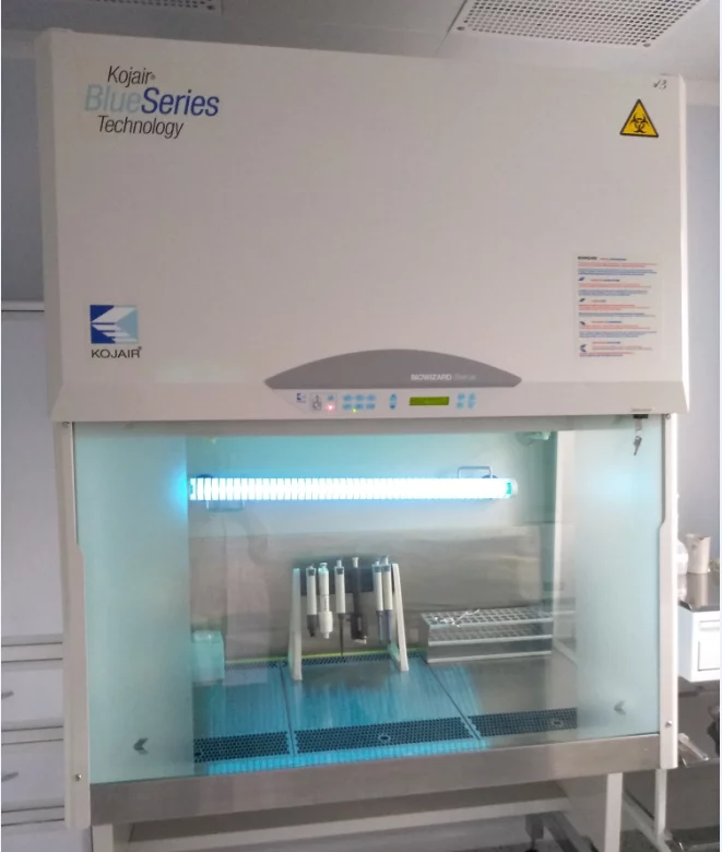 Ламинарный шкаф II класса с вертикальным потоком, BIOWIZARD Silver Line