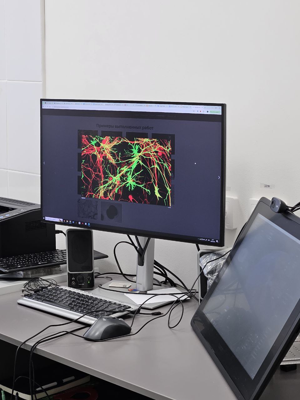 Неврологии, психиатрии и наркологии ФДПО