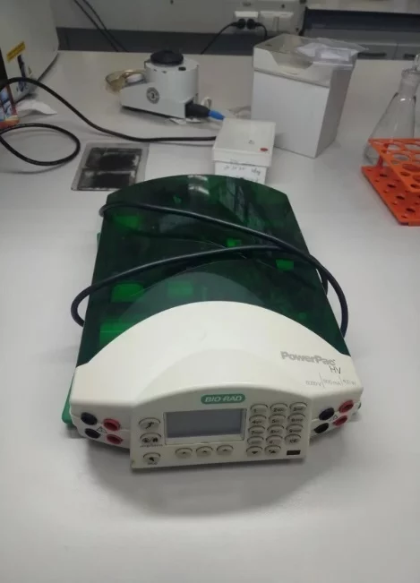 Источник питания для электрофореза Power Pac HV