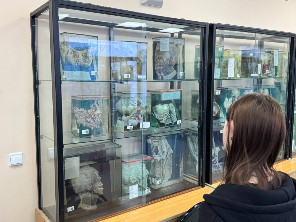 Школьники из Кировской области познакомились с возможностями Приволжского исследовательского медицинского университета