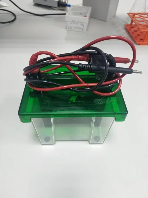 Модуль для иммунноблотинга Blot SD Cell