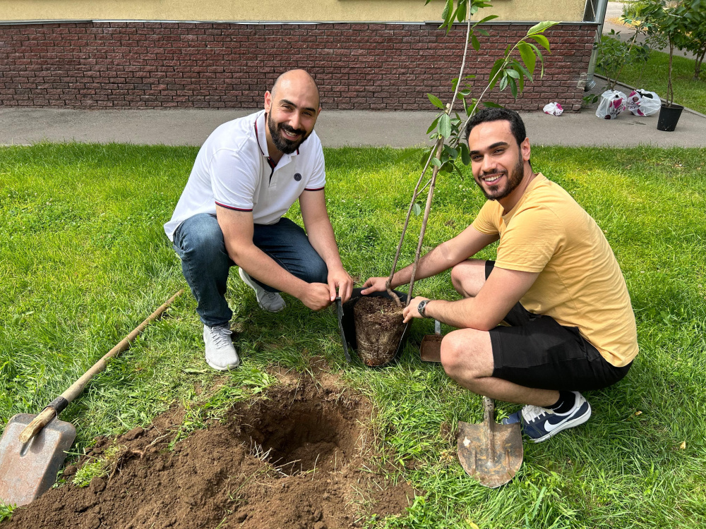 Planting Cherry Trees